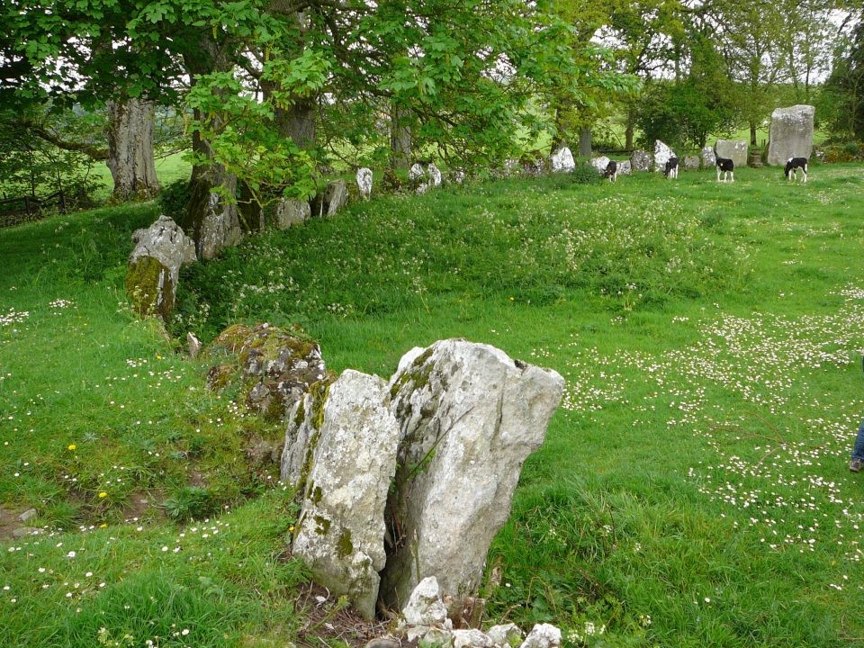 Grange / Lios, Lough Gur (Stone Circle) by Nucleus