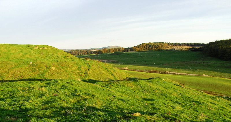 Down Law (Hillfort) by drewbhoy