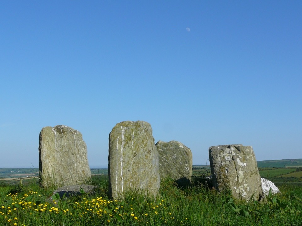 Lettergorman (South) (Stone Circle) by Nucleus