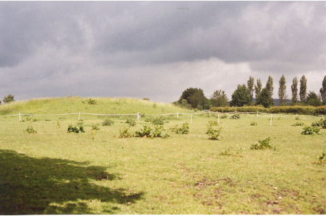 Sutton Veny Barrows (Round Barrow(s)) by Rhiannon