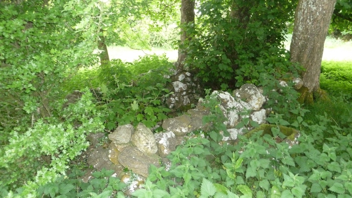 Ballynastaig (Stone Fort / Dun) by Nucleus