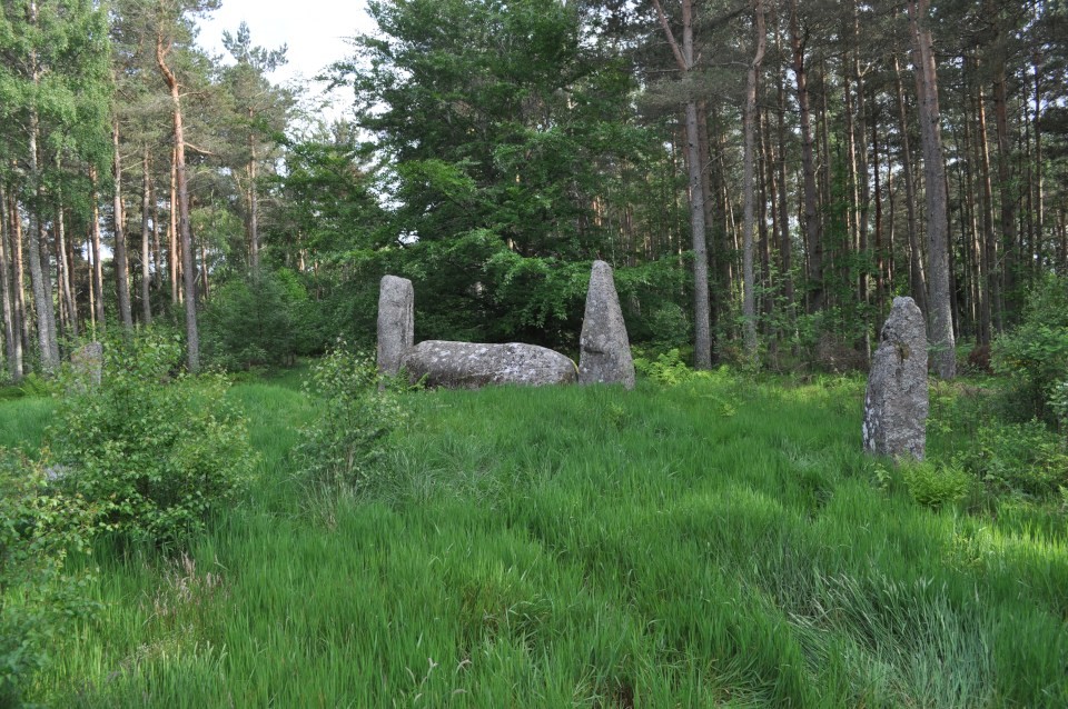 Cothiemuir Wood (Stone Circle) by Nucleus