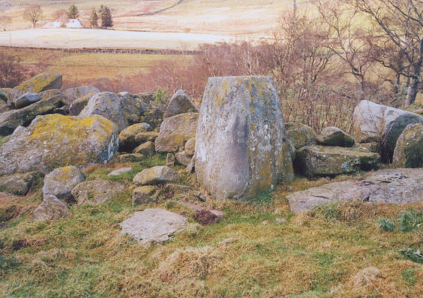 Clachan Aoradh (Standing Stone / Menhir) by BigSweetie