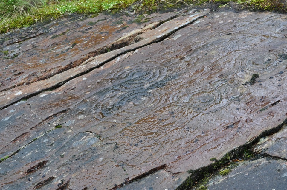 Achnabreck (Cup and Ring Marks / Rock Art) by Nucleus