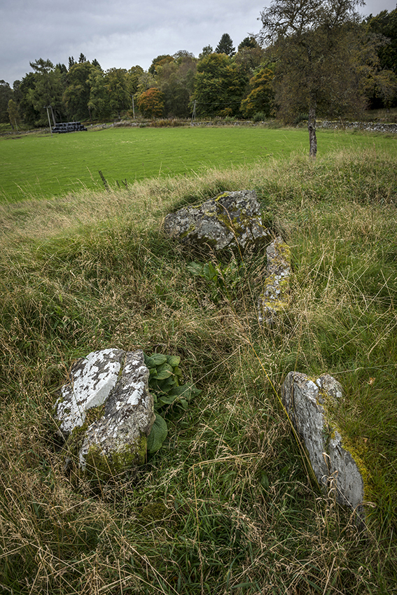 Achany (Chambered Cairn) by A R Cane