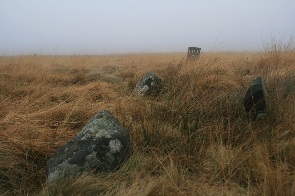 Gibbet Moor North (Stone Circle) by postman