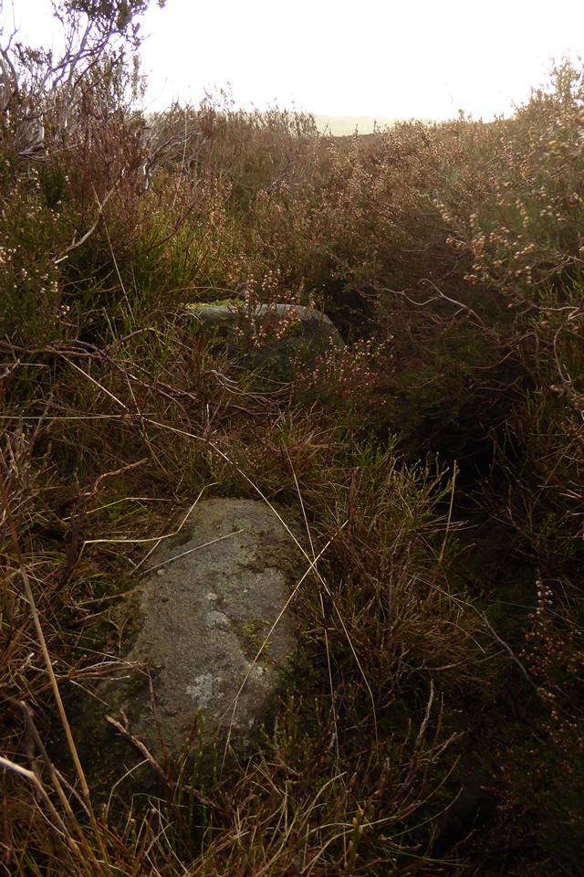 Stanton Moor South (Stone Circle) by thesweetcheat