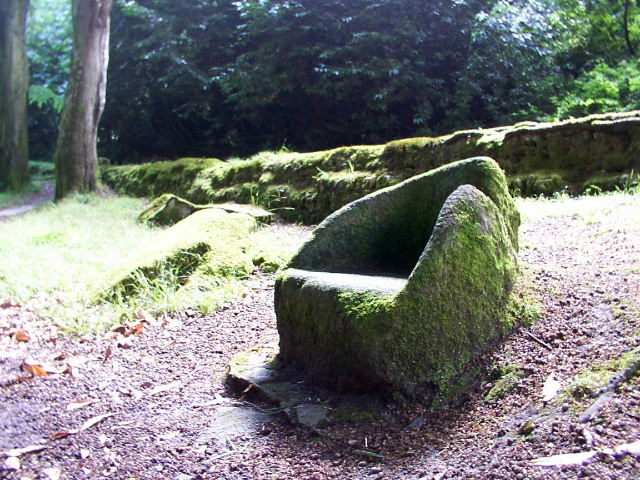 The Druid's Chair and Menacuddle Well (Sacred Well) by phil