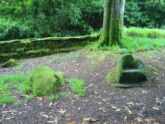 The Druid's Chair and Menacuddle Well (Sacred Well) by goffik