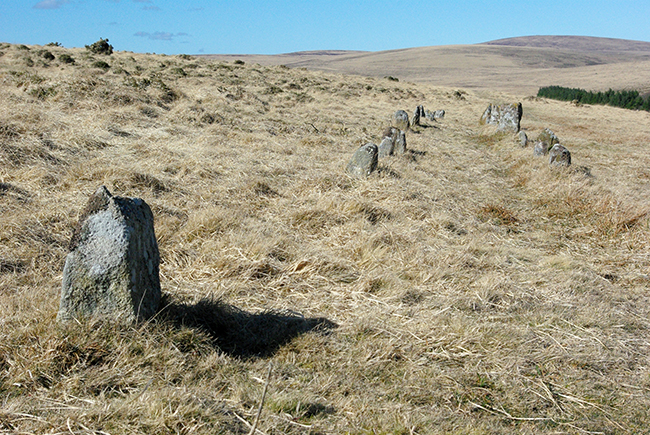 Shovel Down & The Long Stone (Multiple Stone Rows / Avenue) by Zeb