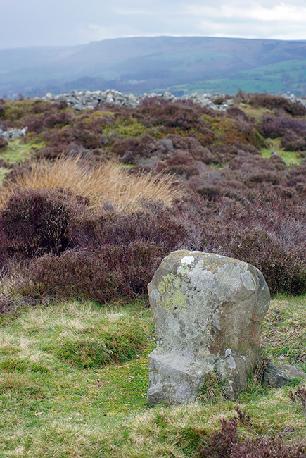 Wet Withens (Stone Circle) by Zeb