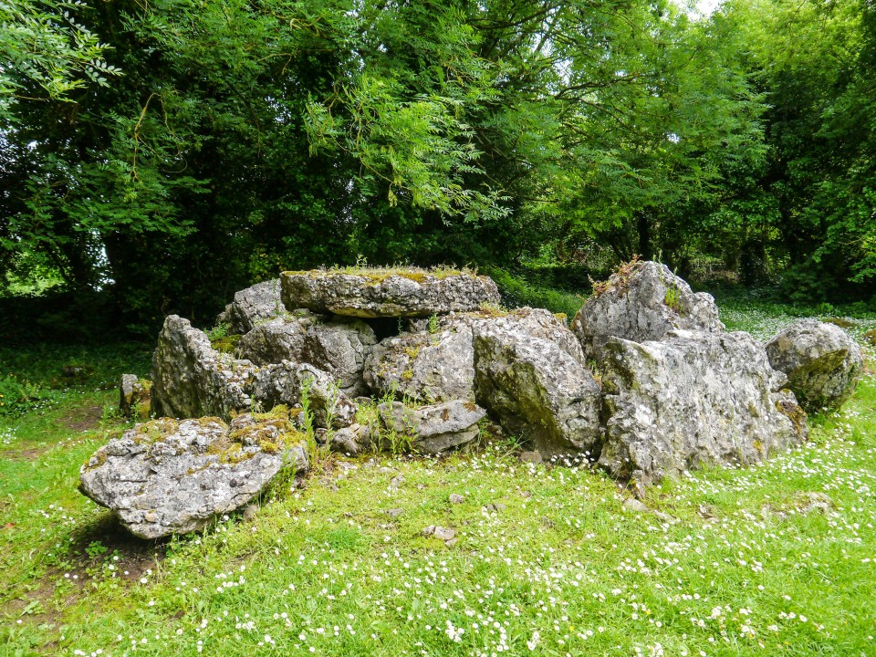 Lough Gur Wedge Tomb (Wedge Tomb) by Meic