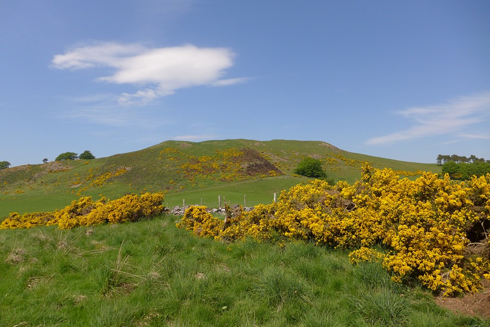 Bizzyberry Hill (Hillfort) by thelonious