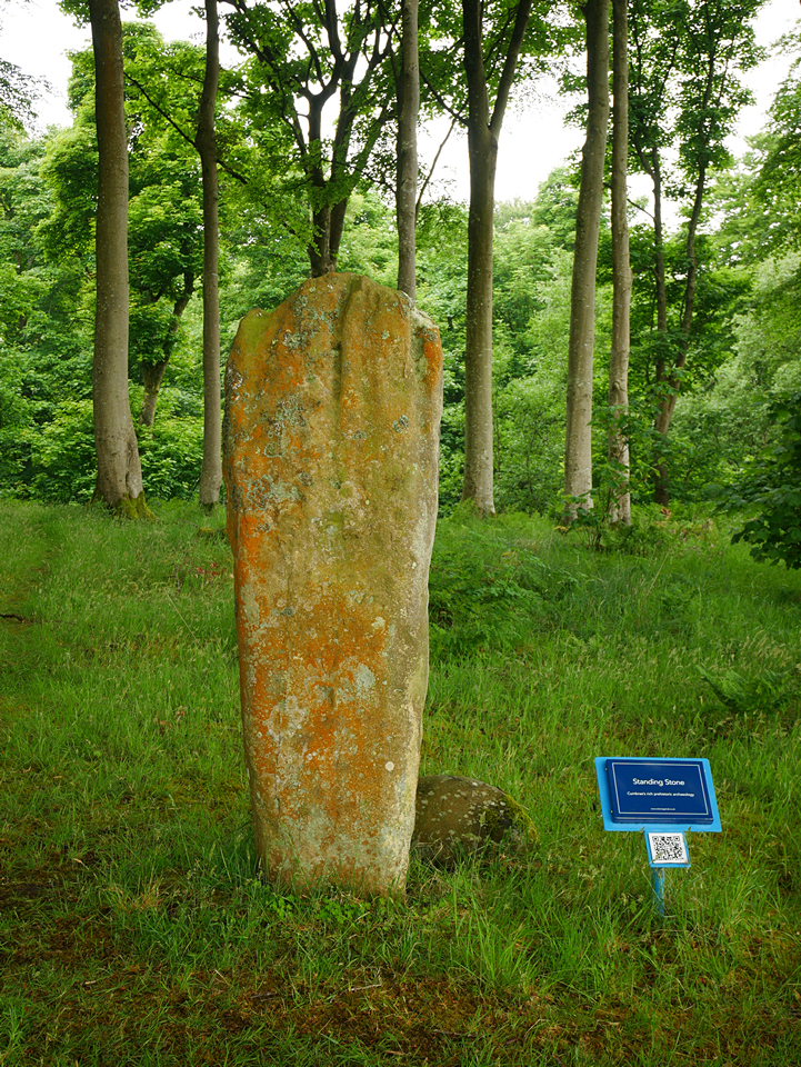 The Gouklan Stone (Standing Stone / Menhir) by thelonious