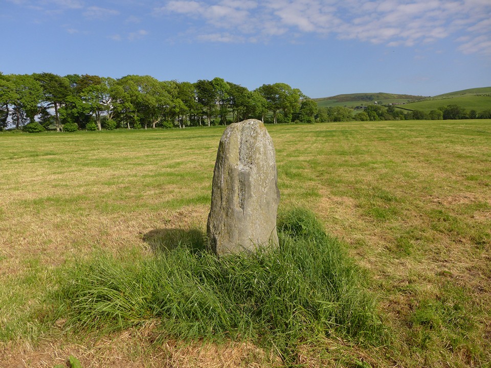 East Colmac (Standing Stone / Menhir) by thelonious