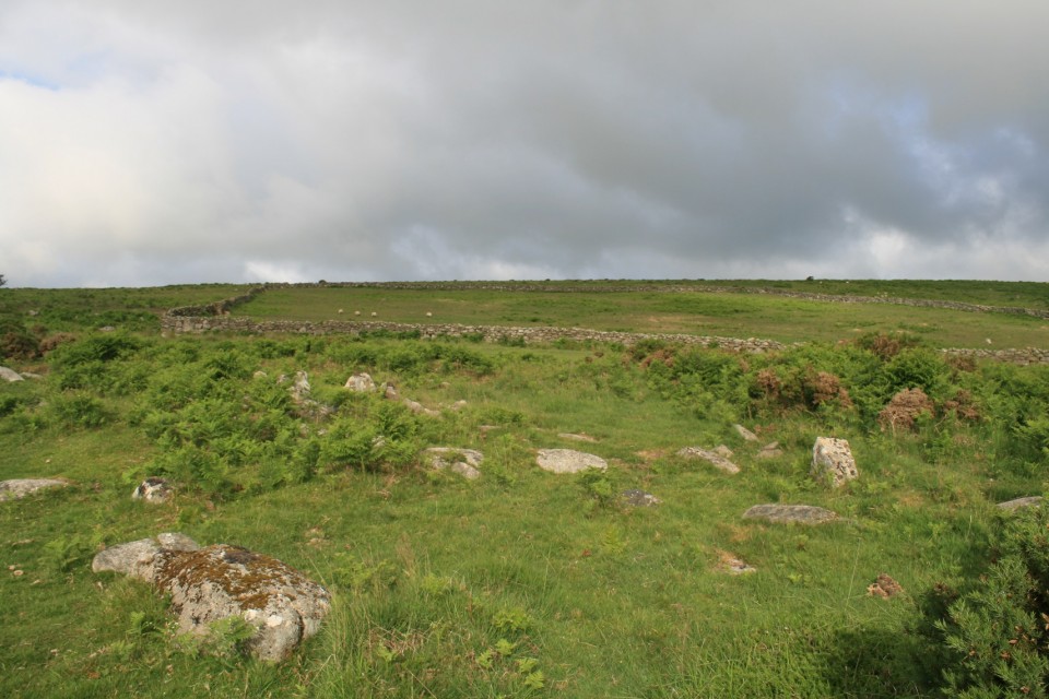 Buttern Hill Chambered Cairn. (Chambered Cairn) by postman