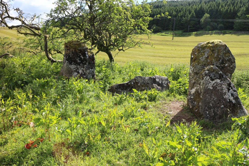 Girdle Stanes & Loupin Stanes (Stone Circle) by moss