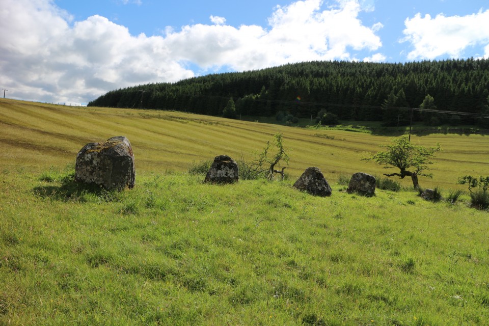 Girdle Stanes & Loupin Stanes (Stone Circle) by moss