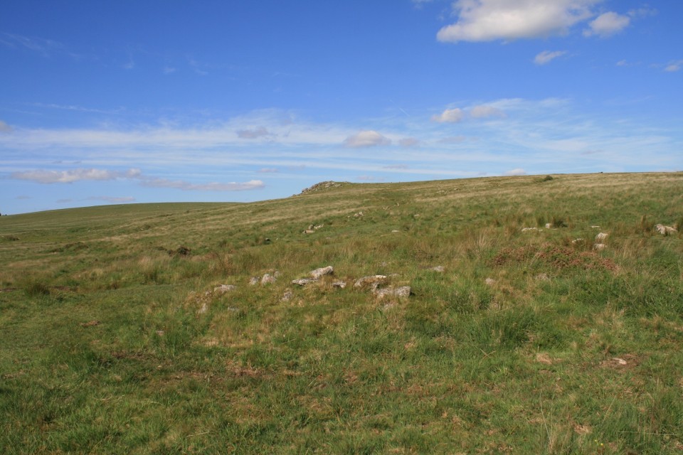 Hart Tor (Stone Row / Alignment) by postman