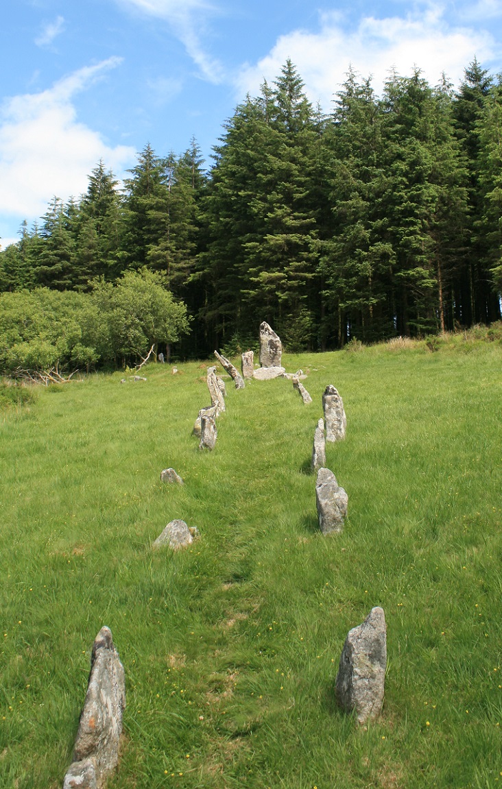 Assycombe Hill (Stone Row / Alignment) by postman