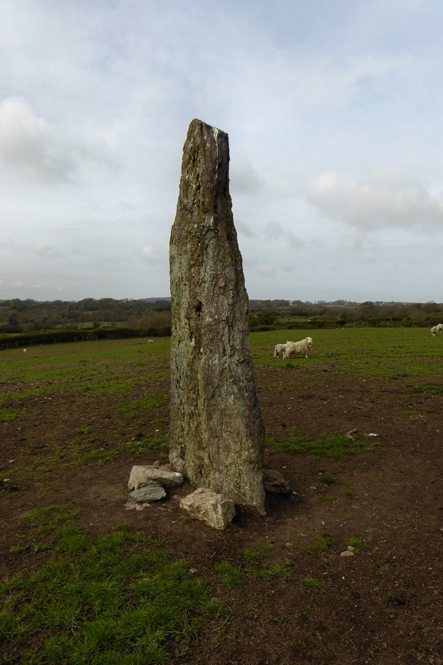 Plas Cadnant (Standing Stone / Menhir) by thesweetcheat