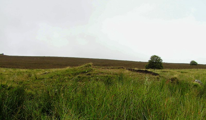 Neavuie (Burnt Mound / Fulacht Fia) by drewbhoy