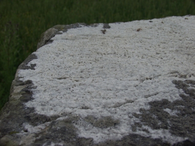 Templebryan (Stone Circle) by ocifant