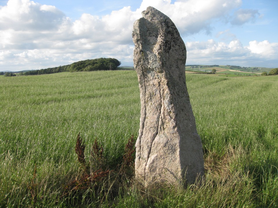 Redcastle (Standing Stone / Menhir) by new abbey