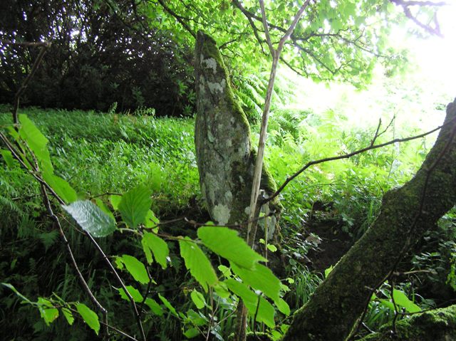 Clachan Ceann Ile (Standing Stone / Menhir) by drewbhoy