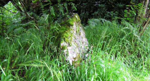 Clachan Ceann Ile (Standing Stone / Menhir) by drewbhoy