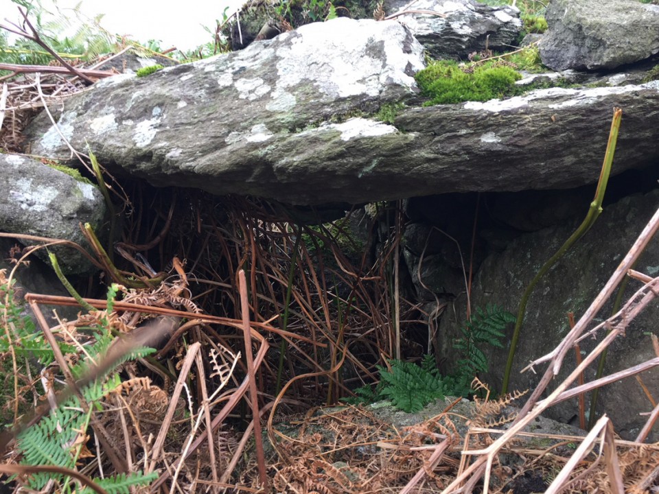 Coumeraglinmountain Megalithic Tomb (unclassified) (Chambered Tomb) by ryaner