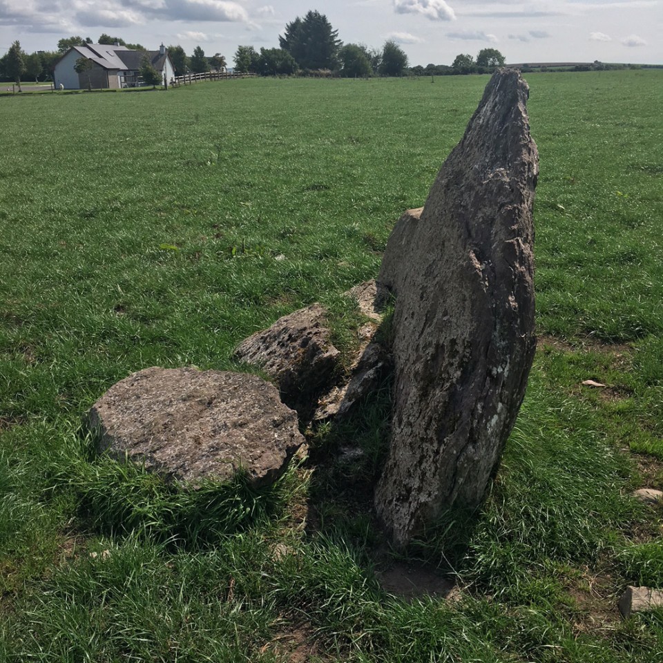 Knockawaddra (Muskerry East By.) (Standing Stone / Menhir) by ryaner