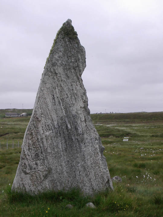 Cnoc Ceann a'Gharraidh (Stone Circle) by habibi