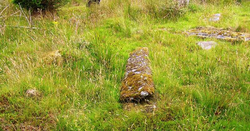 Carragh a' Ghlinne (Stone Row / Alignment) by drewbhoy