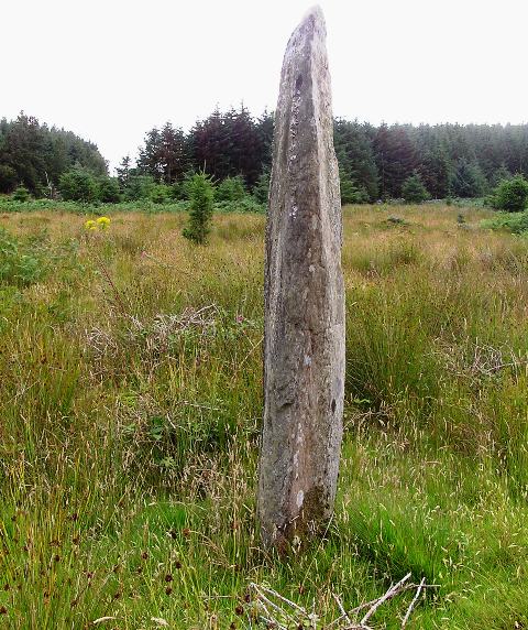 Carragh a' Ghlinne (Stone Row / Alignment) by drewbhoy