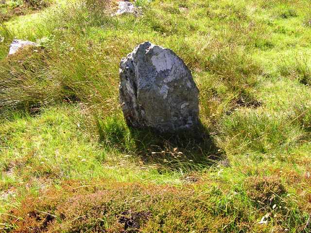 Coille A'chnoic Mhoir (Standing Stone / Menhir) by drewbhoy