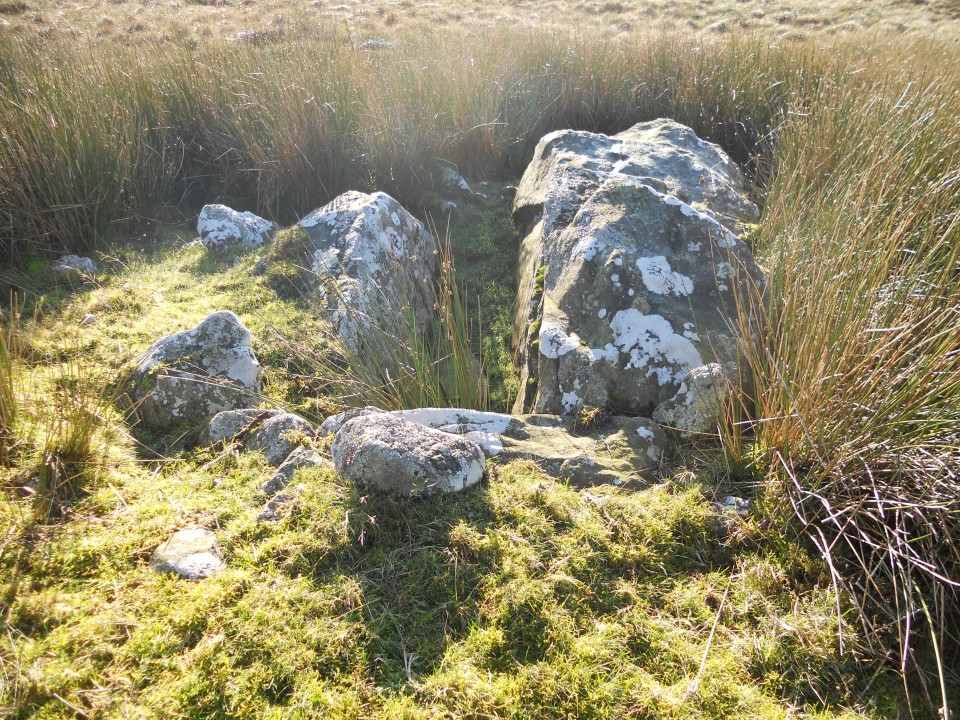 Auld Wife's Grave (Chambered Cairn) by markj99