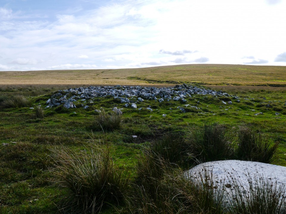 Narrator Brook Head cairn (Cairn(s)) by Meic
