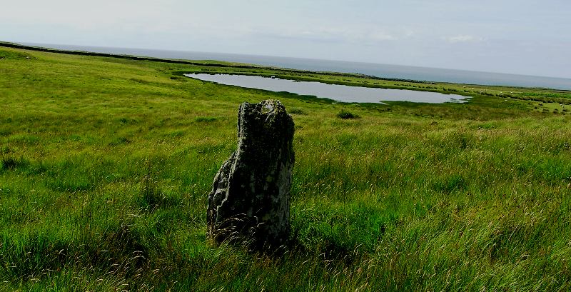 Ballinaby (North) (Standing Stone / Menhir) by drewbhoy
