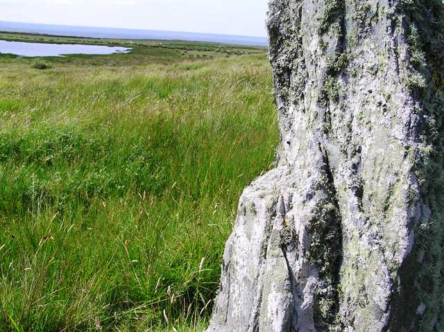 Ballinaby (North) (Standing Stone / Menhir) by drewbhoy