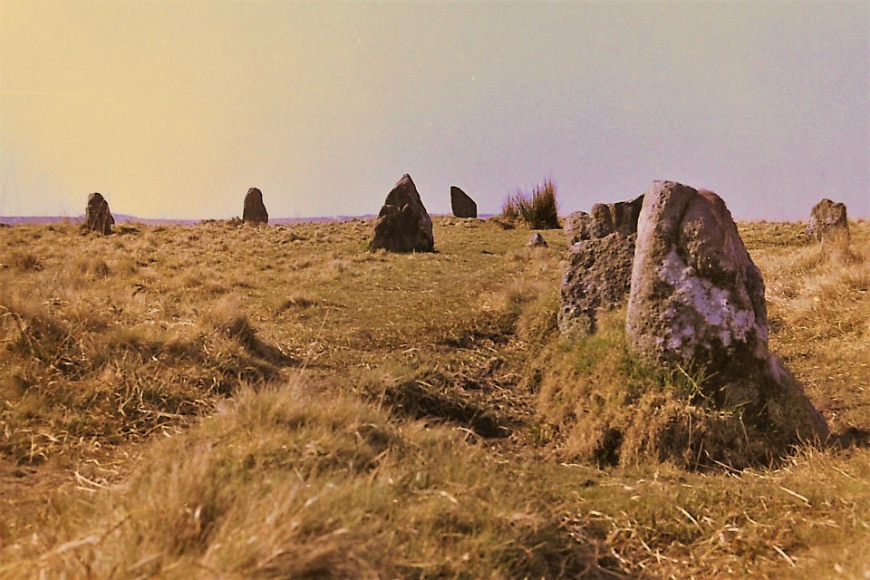 Ringmoor Cairn Circle and Stone Row (Stone Row / Alignment) by ironstone