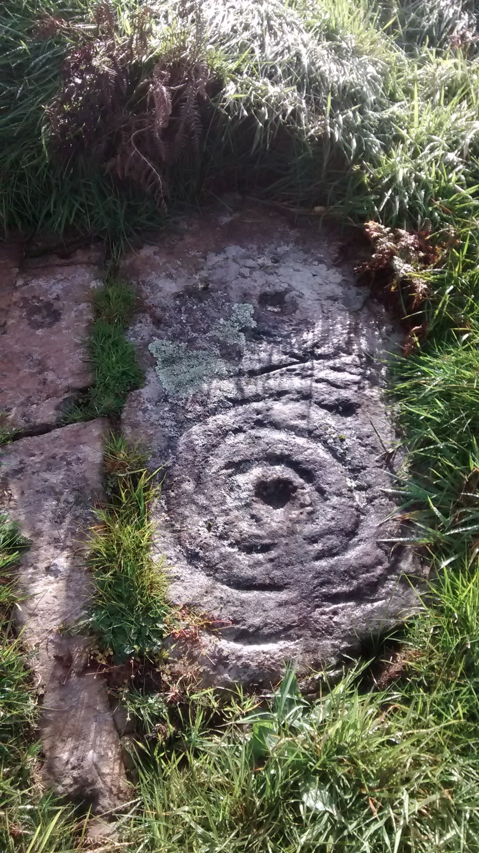 Newlaw Hill 1 (Cup and Ring Marks / Rock Art) by Howburn Digger