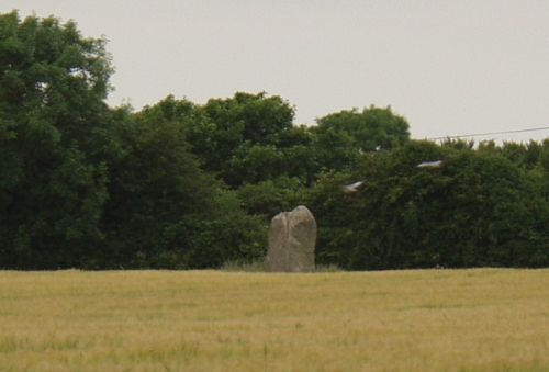 Ballyboher (Standing Stone / Menhir) by ocifant