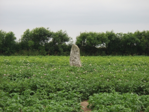 Castletown Stone (Standing Stone / Menhir) by ocifant