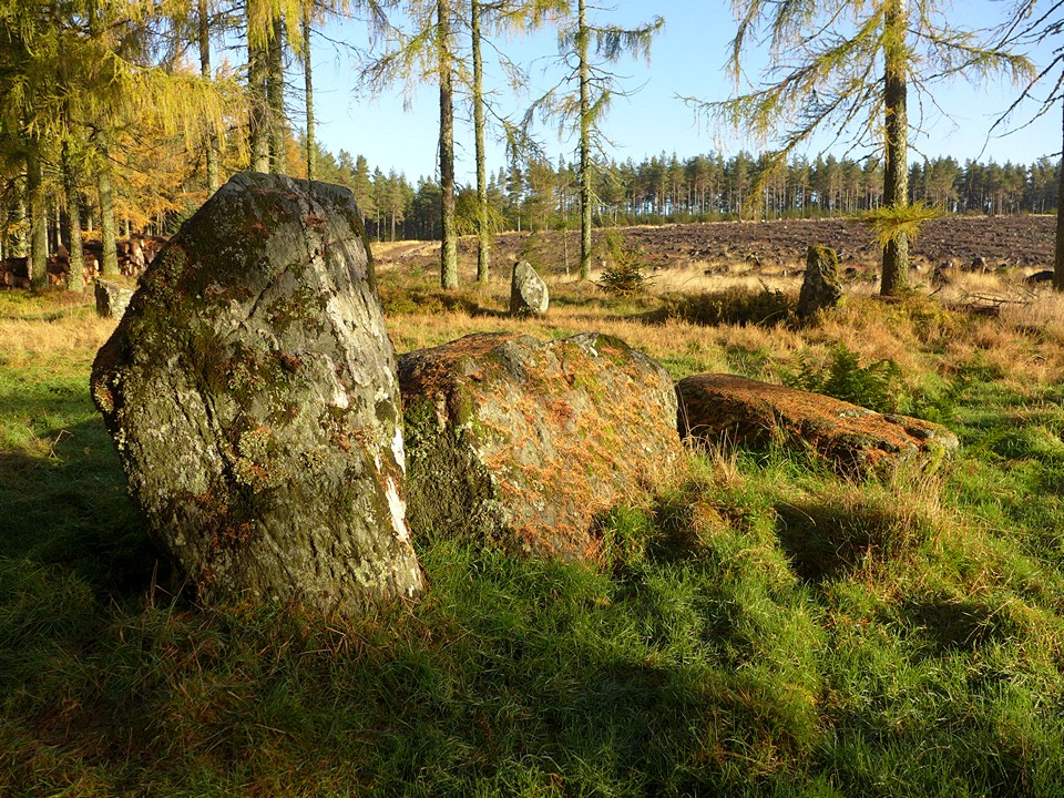 Nine Stanes (Stone Circle) by thelonious