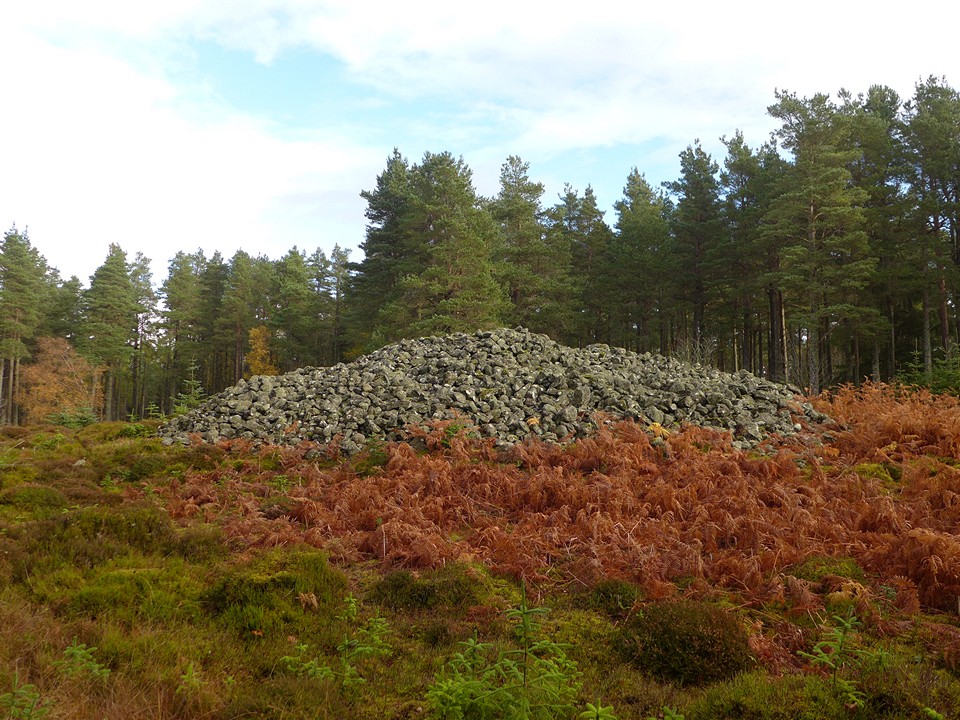 Cairnshee Woods (Cairn(s)) by thelonious