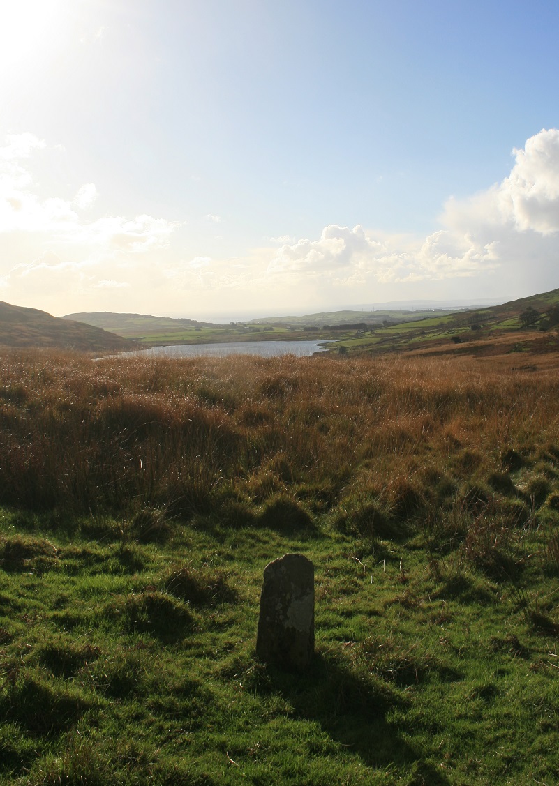 Cwm Ystradllwyn (Standing Stones) by postman