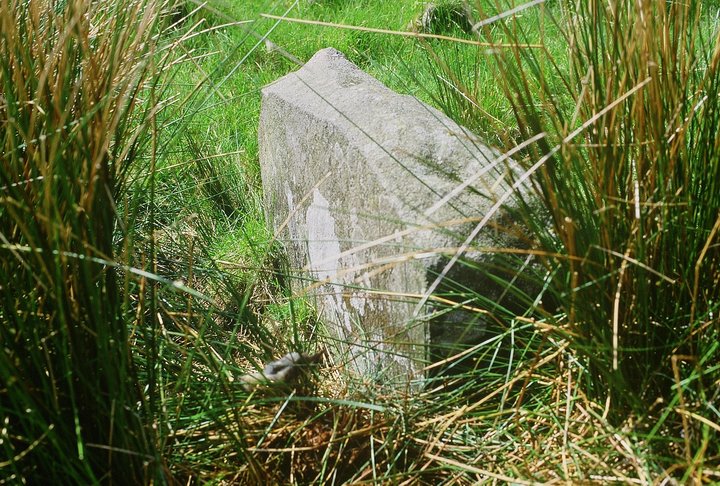 Borland Glen (Stone Circle) by Ian Murray