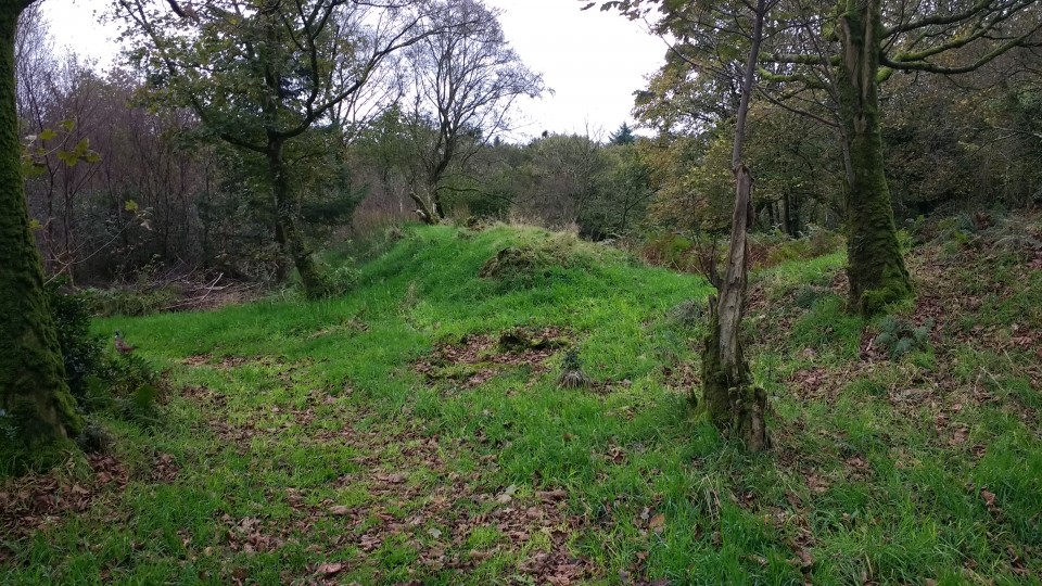 Kemp's Graves, Glenhead of Aldouran (Promontory Fort) by spencer
