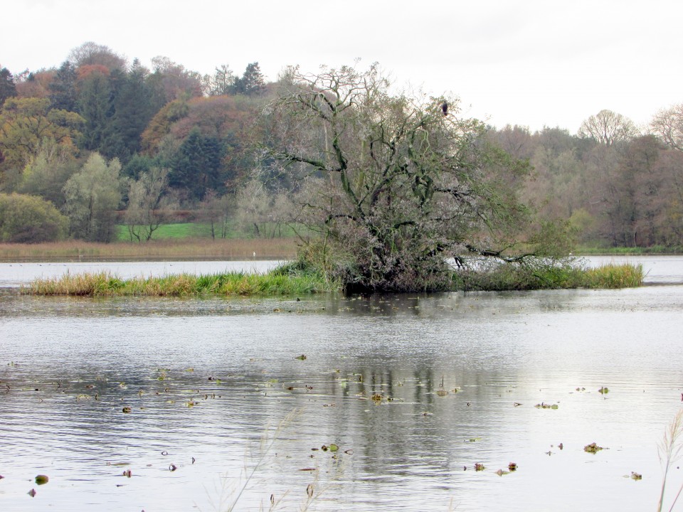 Carlingwark Loch (Crannog) by markj99